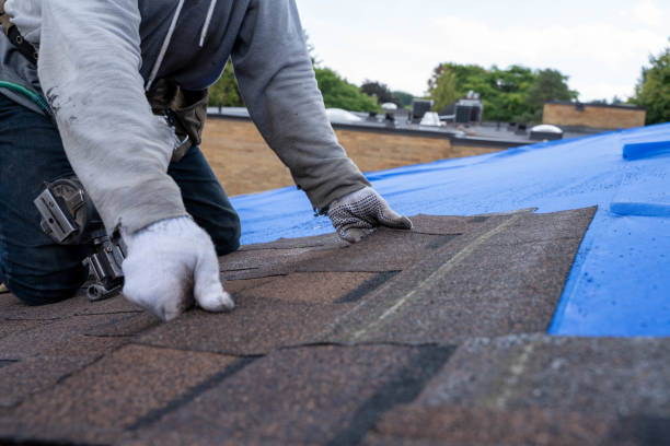 Best Sealant for Roof  in Williamston, MI