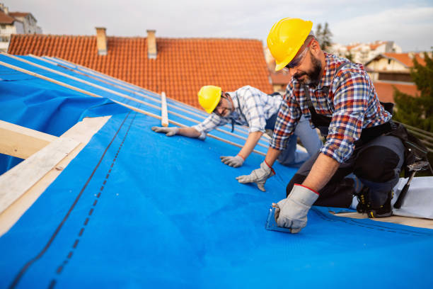 Best Roof Waterproofing Services  in Williamston, MI