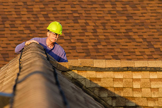 Best New Roof Installation  in Williamston, MI