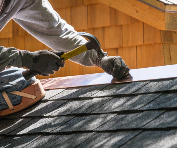 Best Roof Leak Repair  in Williamston, MI